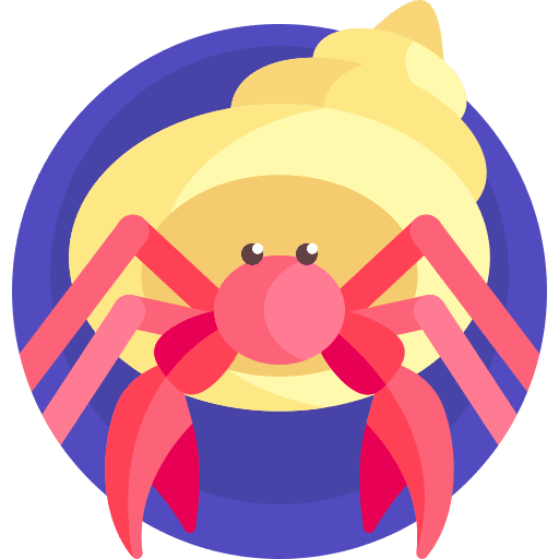 Hermit crab hermit crab marine sea life icon