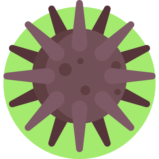 Sea urchin aquarium urchin sea life icon