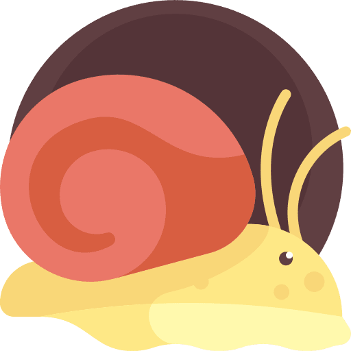 Snail echinoderm sea life aquarium icon