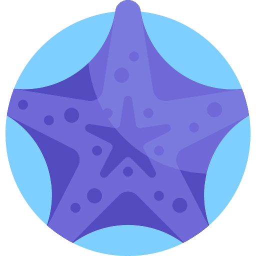 Starfish sea life invertebrate ocean icon