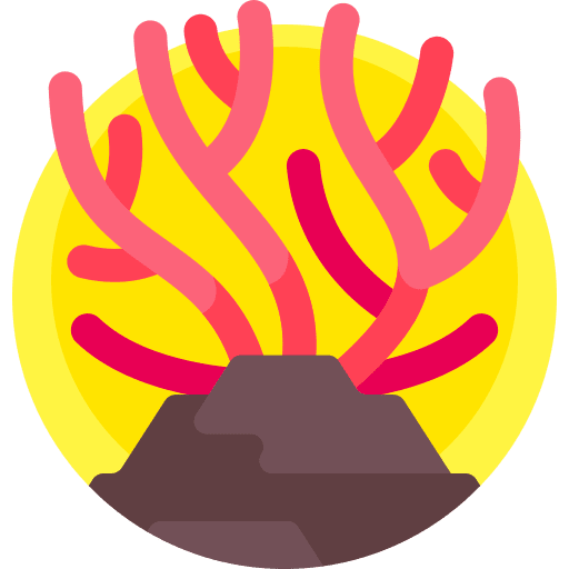 Coral ocean sea nature icon