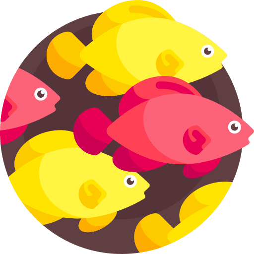 Fishes sea life ocean shoal icon