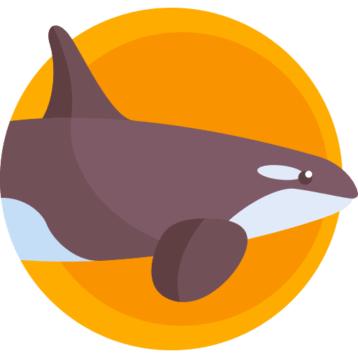 Killer whale sea life animals aquatic icon