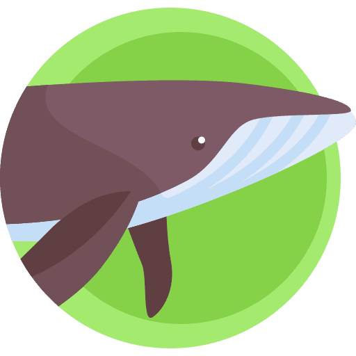 Whale aquatic nature sea life icon