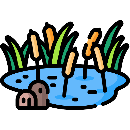 Pond natural forestry lake icon