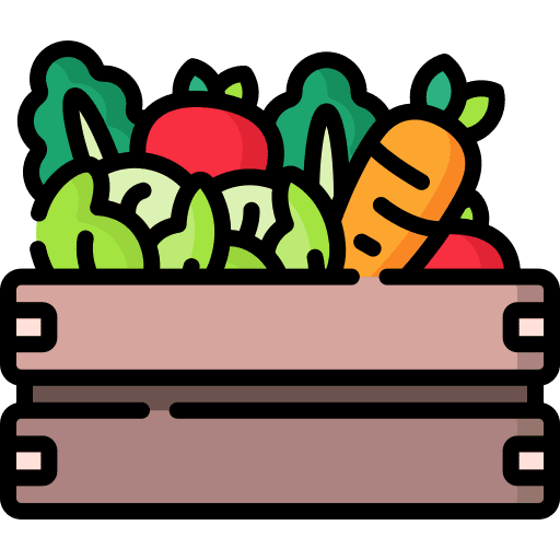 Vegetables food box fruit icon