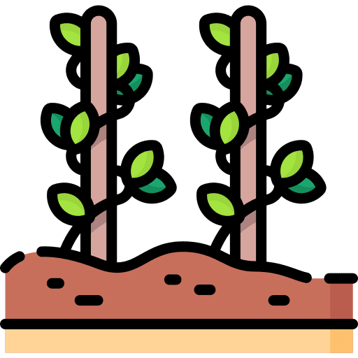 Vineyard farming and gardening vineyard botanical icon