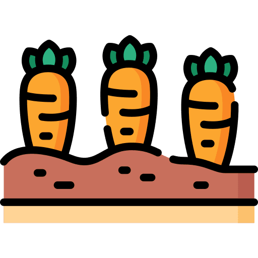 Carrots food carrots growth icon