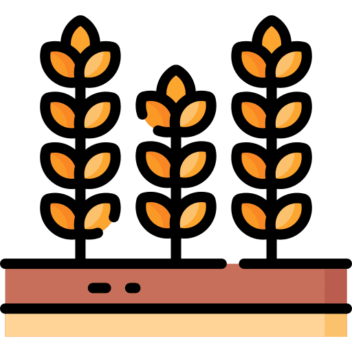 Wheat seed grain farming and gardening icon