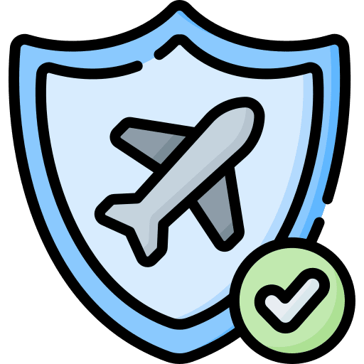 Insurance insurance security flight icon