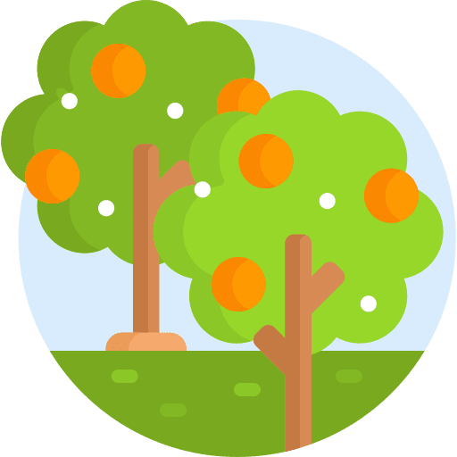 Fruit tree yard tree fruit icon