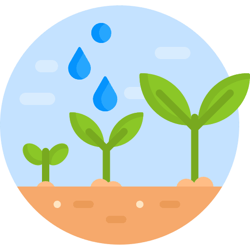 Plant farm sprout growth icon