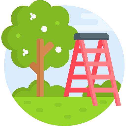 Step ladder agriculture fruit tree harvest icon