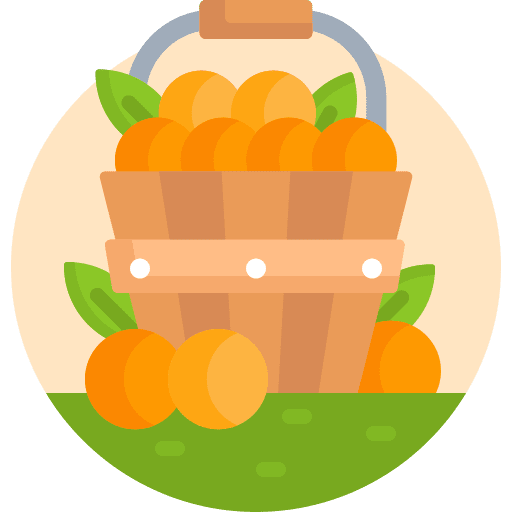 Harvest basket food and restaurant organic icon