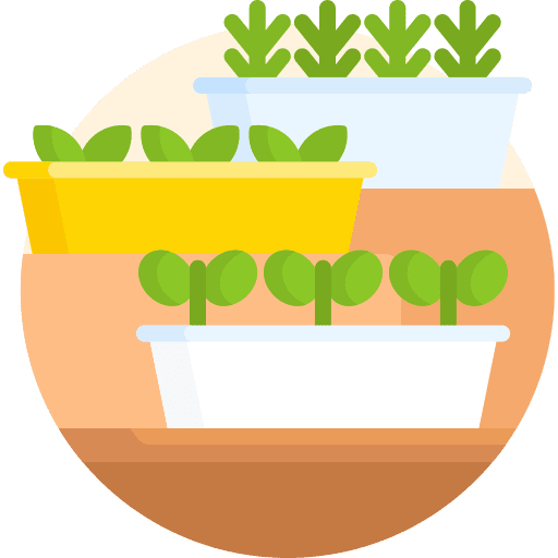 Herbs plant aromatic plant pot icon