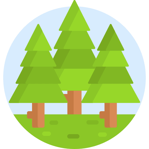 Pine tree forest nature landscape icon