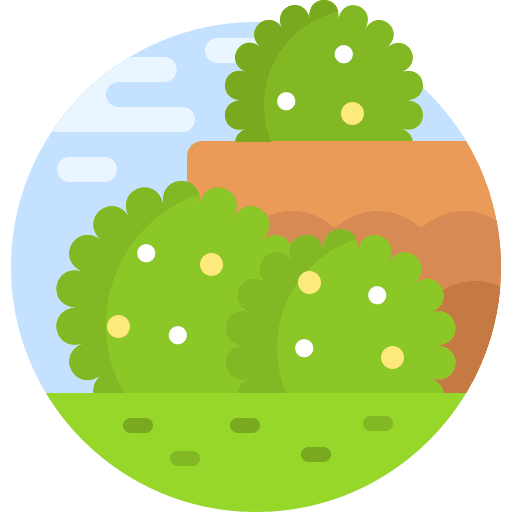 Shrub farming and gardening bush nature icon