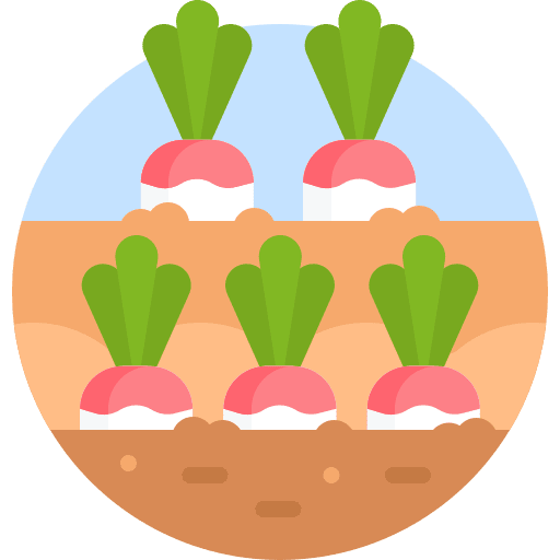 Turnip organic nature turnip icon