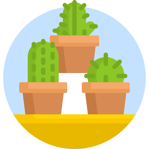 Cactus botanical botanic plant icon