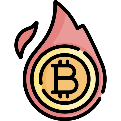 Burn bitcoin currency money icon