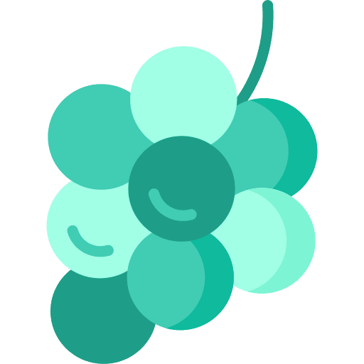 Grapes organic healthy grapes icon
