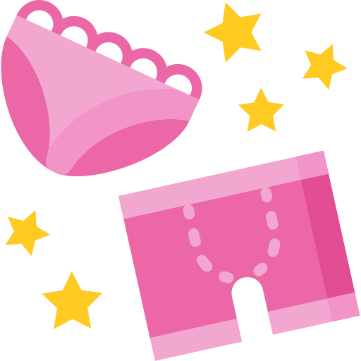 Underwear traditional feminine lingerie icon