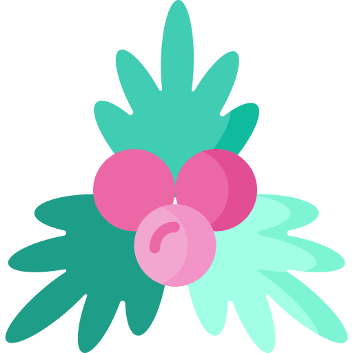 Mistletoe mistletoe leaf leaves icon