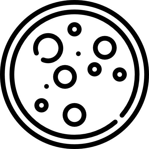 Petri dish laboratory equipment education experimentation icon