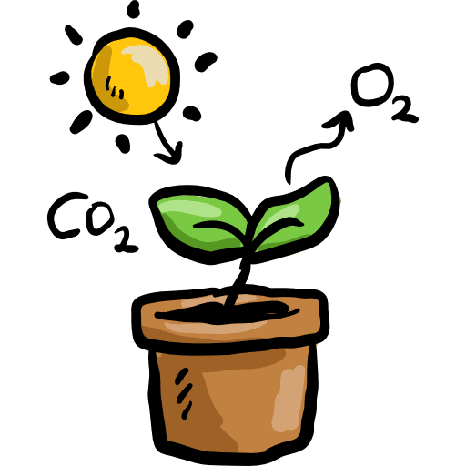 Photosynthesis photosynthesis education sun icon