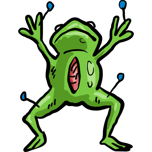 Frog education zoo animals icon