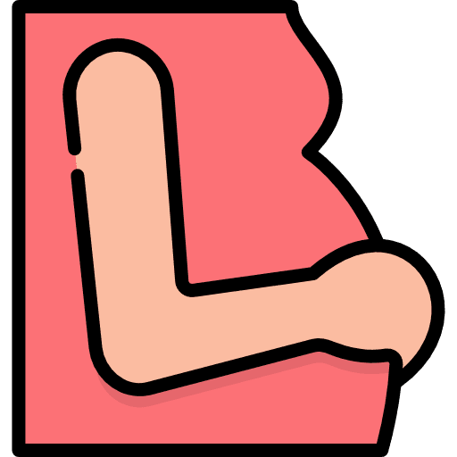 Pregnant femenine motherhood kid and baby icon