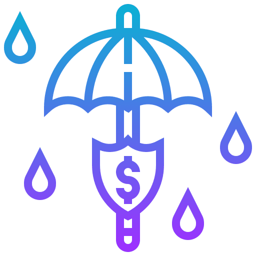 Protection dollar symbol protection shield icon
