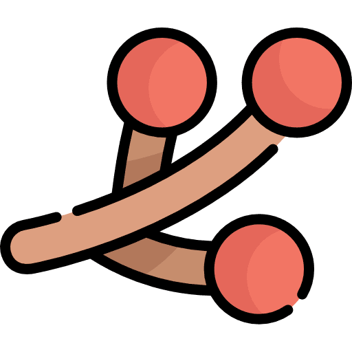 Berries fruits berry food icon