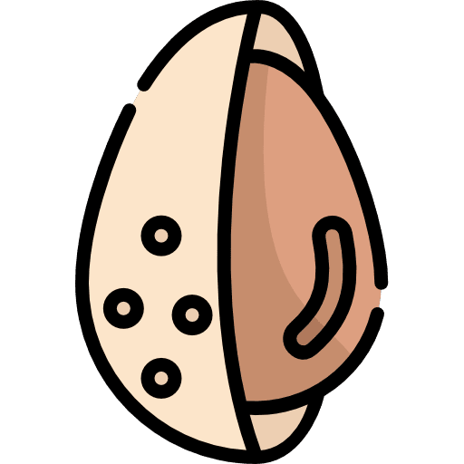 Almond vegan food and restaurant nature icon