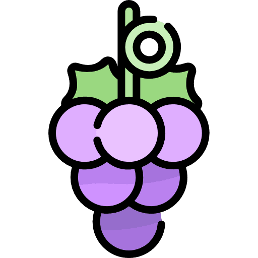 Grapes bouquet nature grapes icon