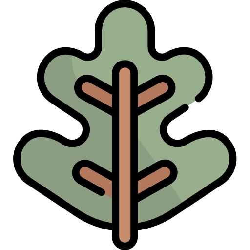 Leaf autumn garden oak icon