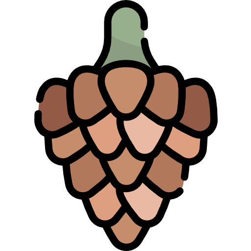 Pine cone pine nature nut icon
