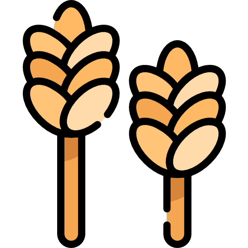 Wheat wheat plant branch seeds icon