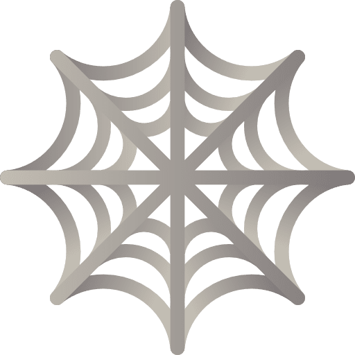 Spider web cobweb animals spider web icon