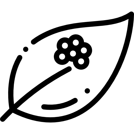 Eggs frog herbal sprout icon