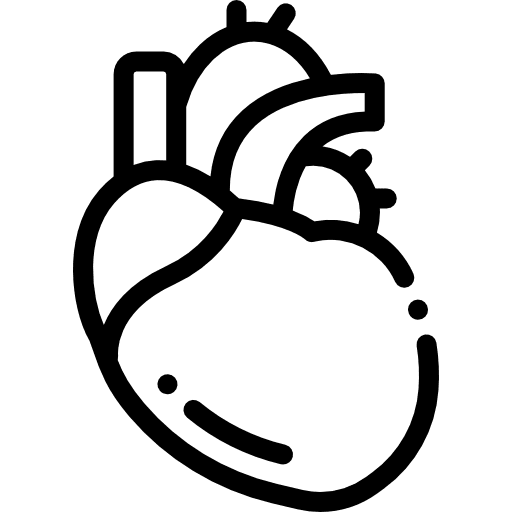 Heart cardiology heart beat icon