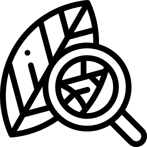 Leave plant glass loupe icon