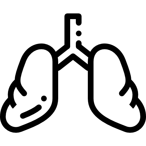 Lungs human body organs medicine icon