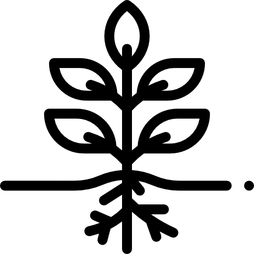 Plant leaf herbal plant icon