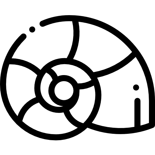 Snails animal snails animals icon