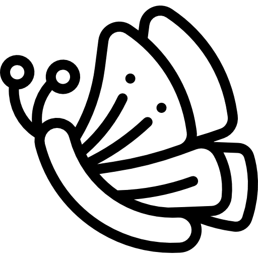 Butterfly animal nature moths icon