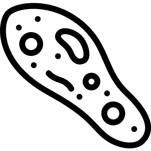 Paramecium science experimentation bacteria icon