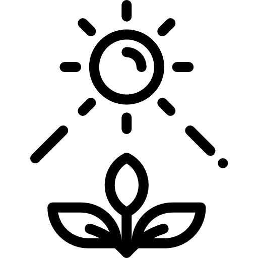 Photosynthesis tree oxygen sun icon