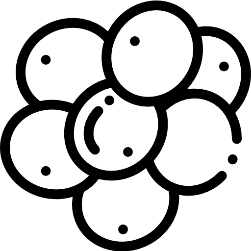 Biology education laboratory equipment cells icon