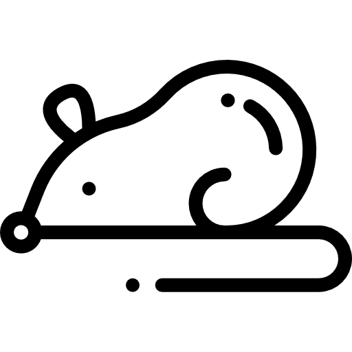 Mouse experiments animals animal icon